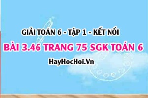 Giải bài 3.46 trang 75 Toán 6 Tập 1 SGK Kết nối tri thức